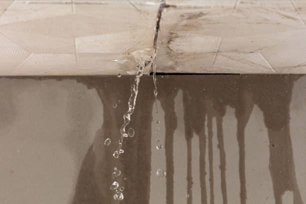 Professional Structural Drying technician working in Ripley, MS